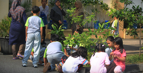 Kegiatan Menanam Pohon